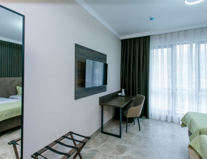 Комфорт Комфорт 2-местный TWIN с видом на парк и балконом - Отель «Бухта мечты» Гагра